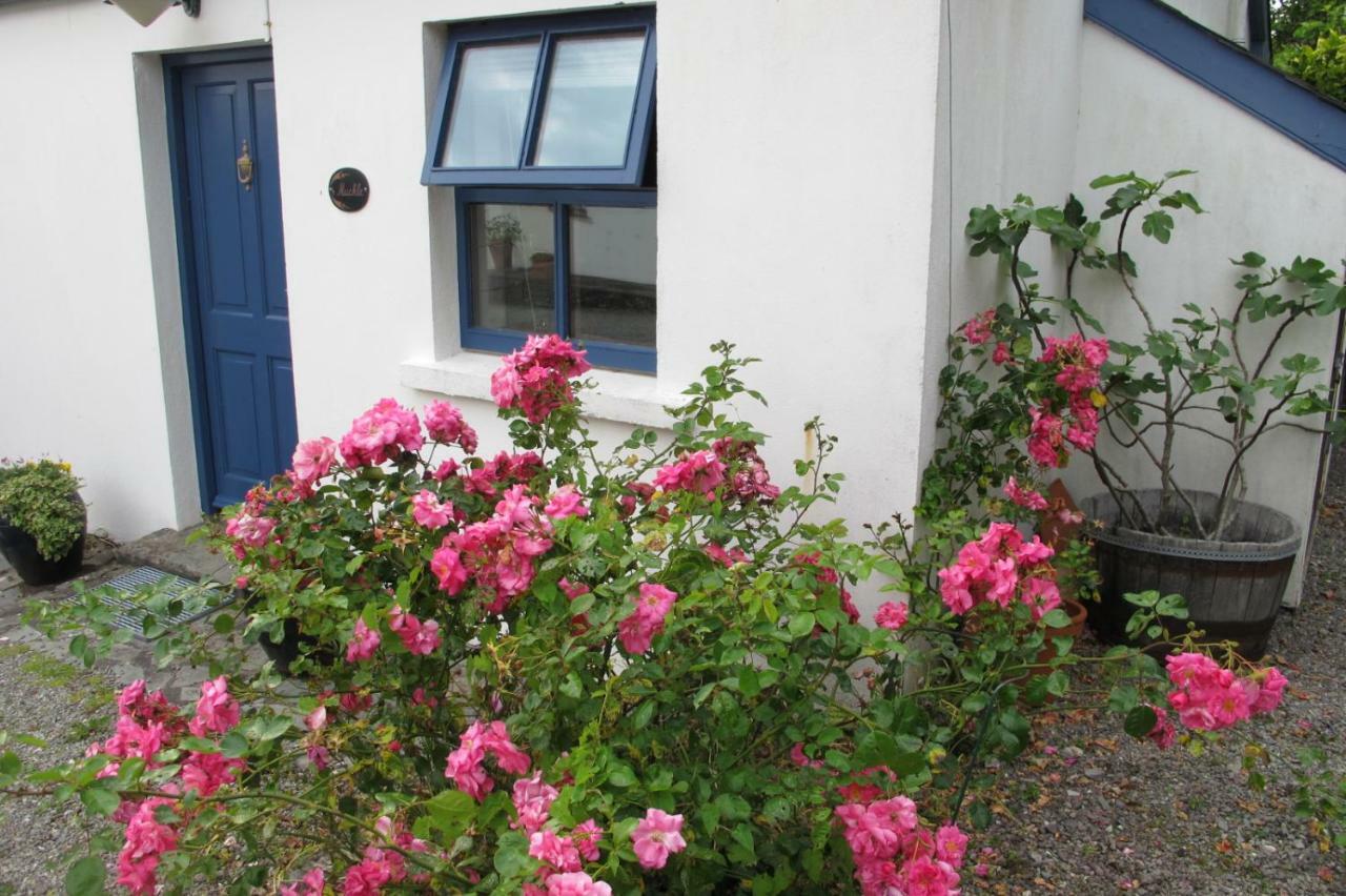 Villa Muckle Flugga Goleen Esterno foto